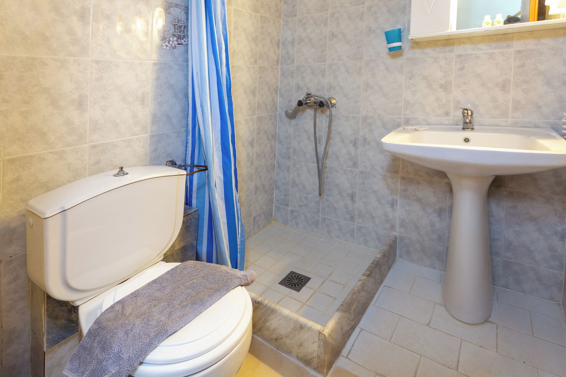 Une salle de bain avec des toilettes, une douche et un lavabo.