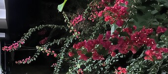 Villa Olive - A two double bed Duplex at Green Village with swimming pool