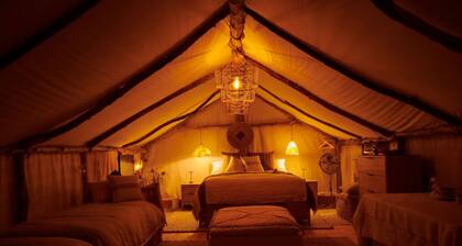 Casita Eco-Glamping Santa Barbara 4 people- Luxe