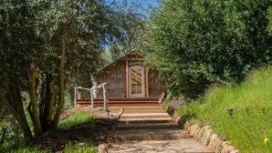 A rustic wooden cabin with a staircase leading up to a door, surrounded by lush greenery.