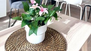 A modern kitchen with white cabinets, a dining table with a woven placemat, and a potted plant with pink flowers.