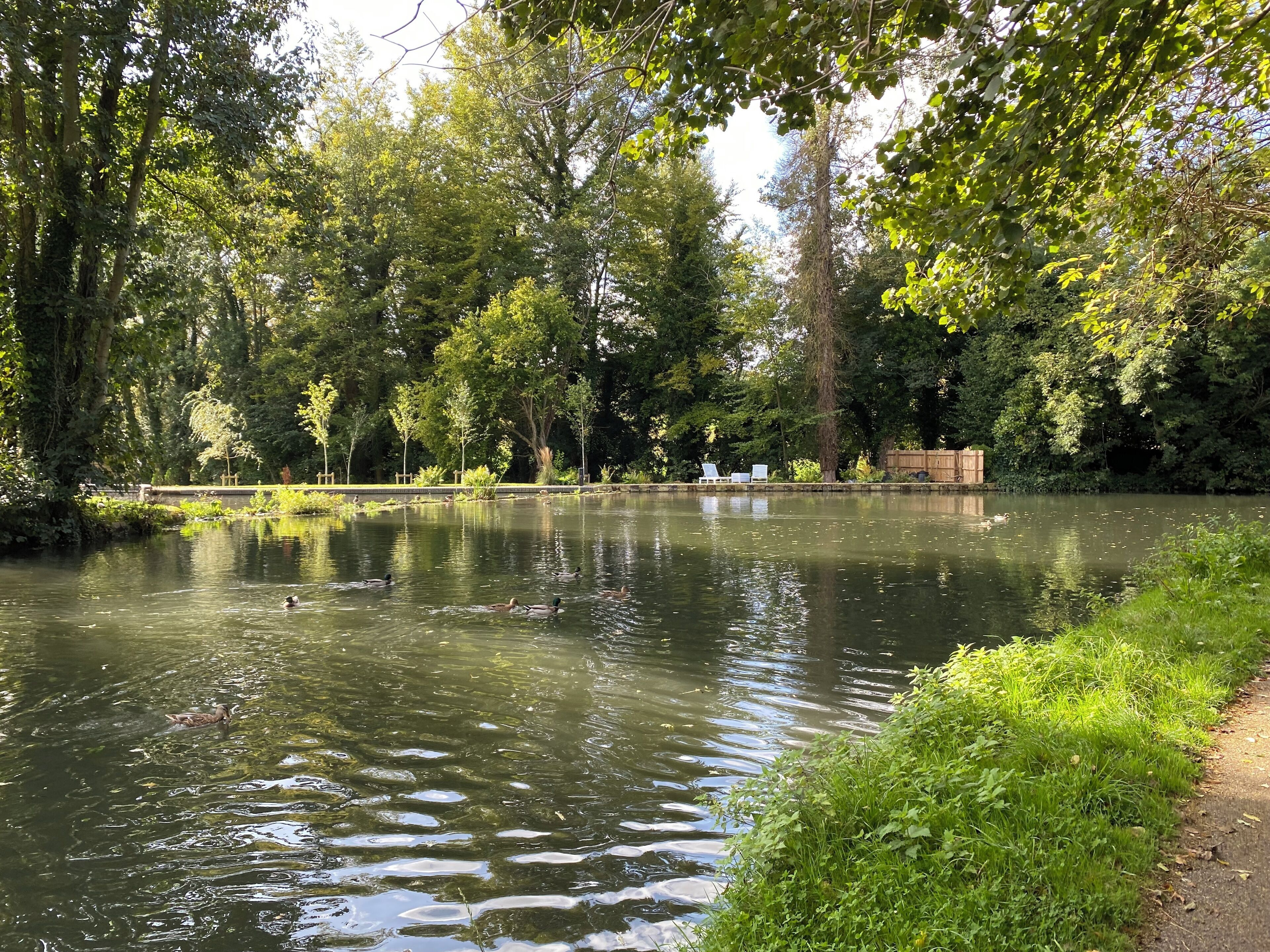 1 camera, ferro/asse da stiro, Wi-Fi, lenzuola