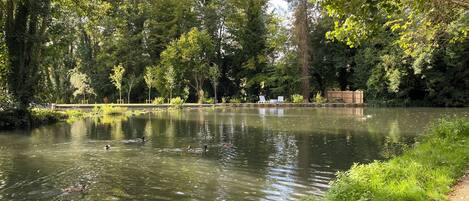 1 camera, ferro/asse da stiro, Wi-Fi, lenzuola