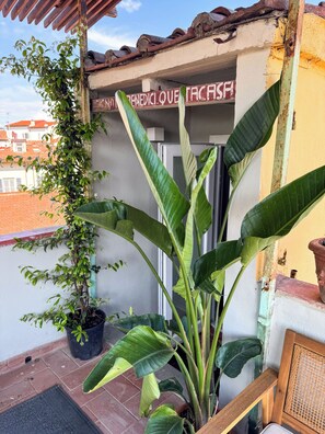 Exterior detail - Green Rooftop Terrace, Florence Historical Center (Firenze)