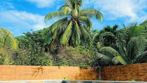 Piscina cristalina com deck de madeira e uma palmeira ao fundo.