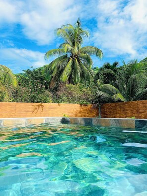 Ein klares Schwimmbecken mit einer Holzterrasse und einer Palme im Hintergrund.