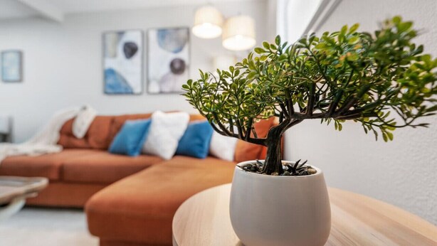 Un árbol bonsái en maceta sobre una mesa de madera en un salón con un sofá marrón y cojines azules.