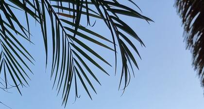 Tranquil Retreat : Your Dream Villa 15 Minutes From Tamarindo