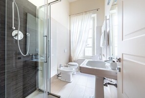 Shower, hair dryer, bidet, towels