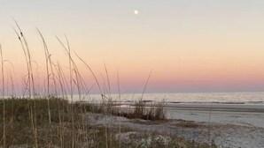 Une plage avec de hautes herbes au premier plan et une mer calme sous un ciel dégagé.