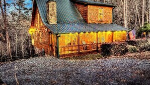 A rustic cabin with a metal roof, surrounded by trees. - Peaceful Blue Ridge Mtn Cabin-Gated, WiFi, Hot Tub, Fire Pit, Game Room (Blue Ridge)