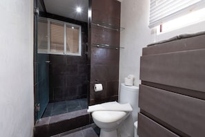 Regadera, secadora de cabello, bidet, toallas