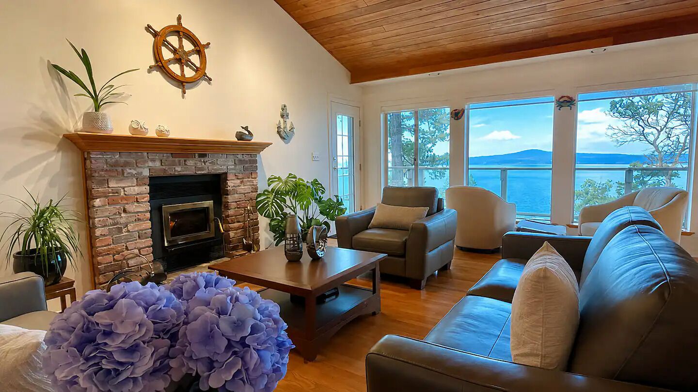 Smart TV, fireplace, books, computer monitors