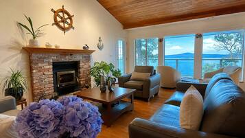 Smart TV, fireplace, books, computer monitors