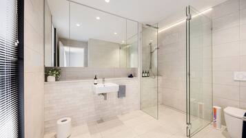 Shower, hair dryer, towels