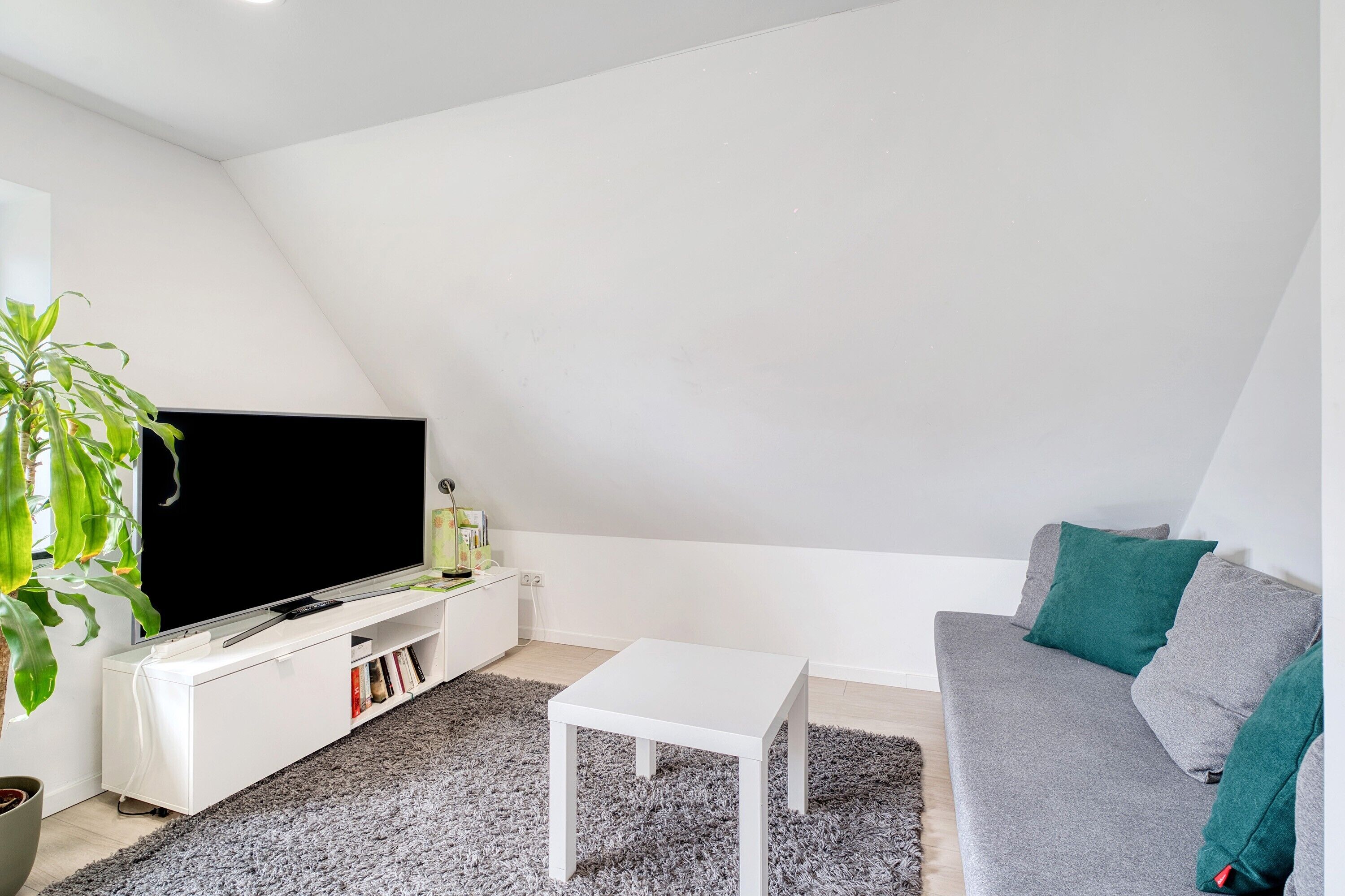 Fernseher, Stereoanlage