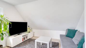 Fernseher, Stereoanlage