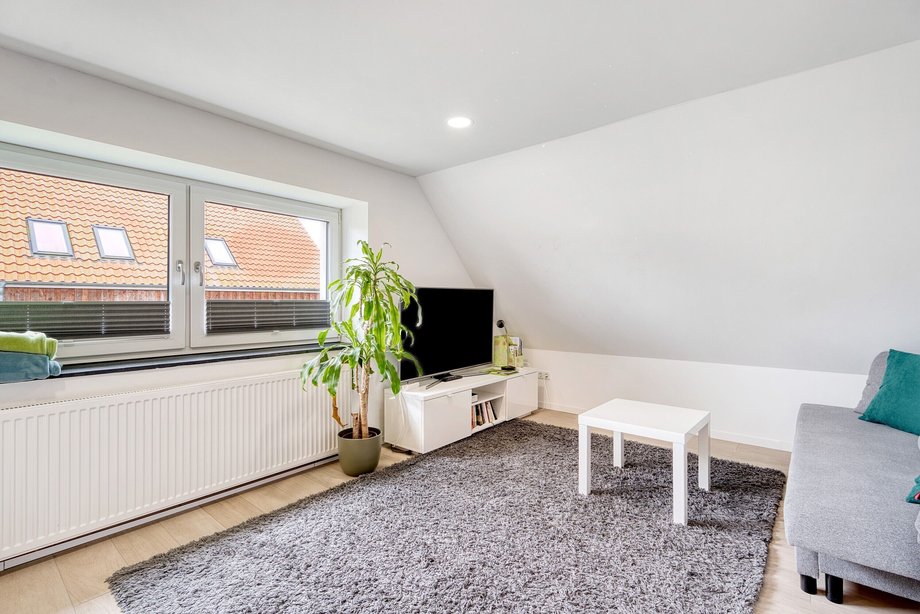 Un salon moderne avec une grande fenêtre, un téléviseur à écran plat, une plante en pot, un canapé gris et une table basse blanche.