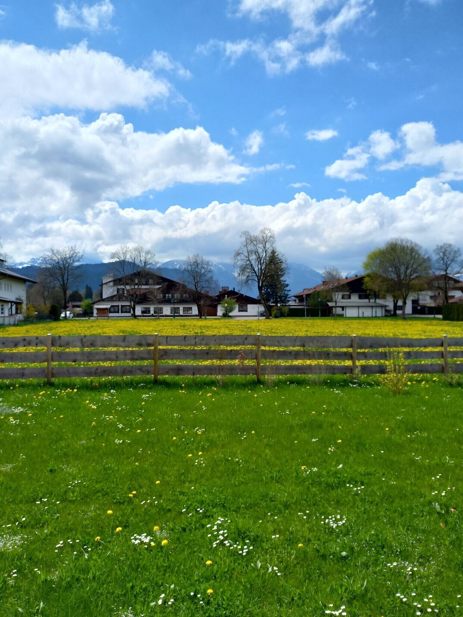 Un paisaje rural con casas, una valla de madera y un campo de flores amarillas.