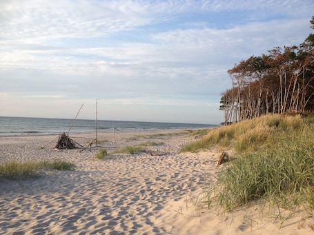 ビーチ. Apartment 'Fewo 34 - Halbinsel Darss - Ostsee' with Private Terrace, Shared Garden and Wi-Fi