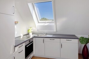 Fridge, oven, stovetop, dishwasher - Apartment 'Ferienwohnung Trogus' with Private Terrace and Wi-Fi (Vogtsburg)