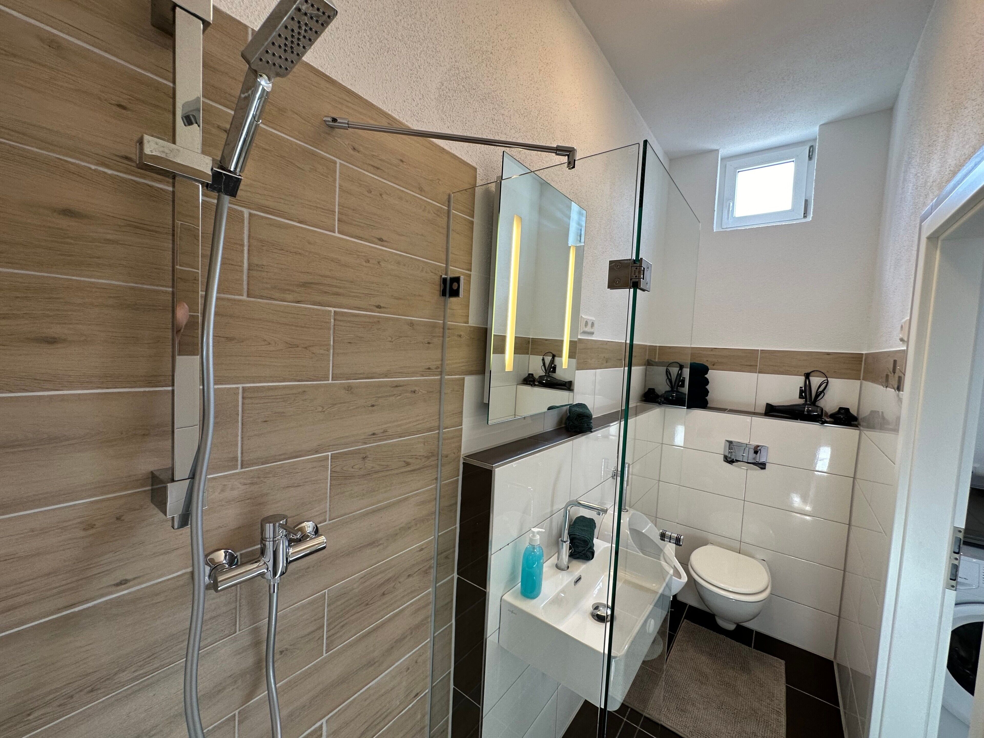 Shower, hair dryer, towels