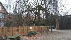 A courtyard with a wooden fence, a stone bench, a wooden table, and a tree. - Holiday Home 'Melkerhaus' with Private Terrace, Private Garden and Wi-Fi (Boitze-Neetzendorf)