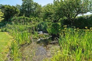 A natural landscape with a pond, greenery, and trees.