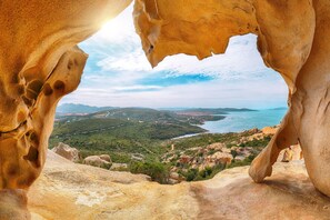 المنطقة المحيطة بالمنشأة