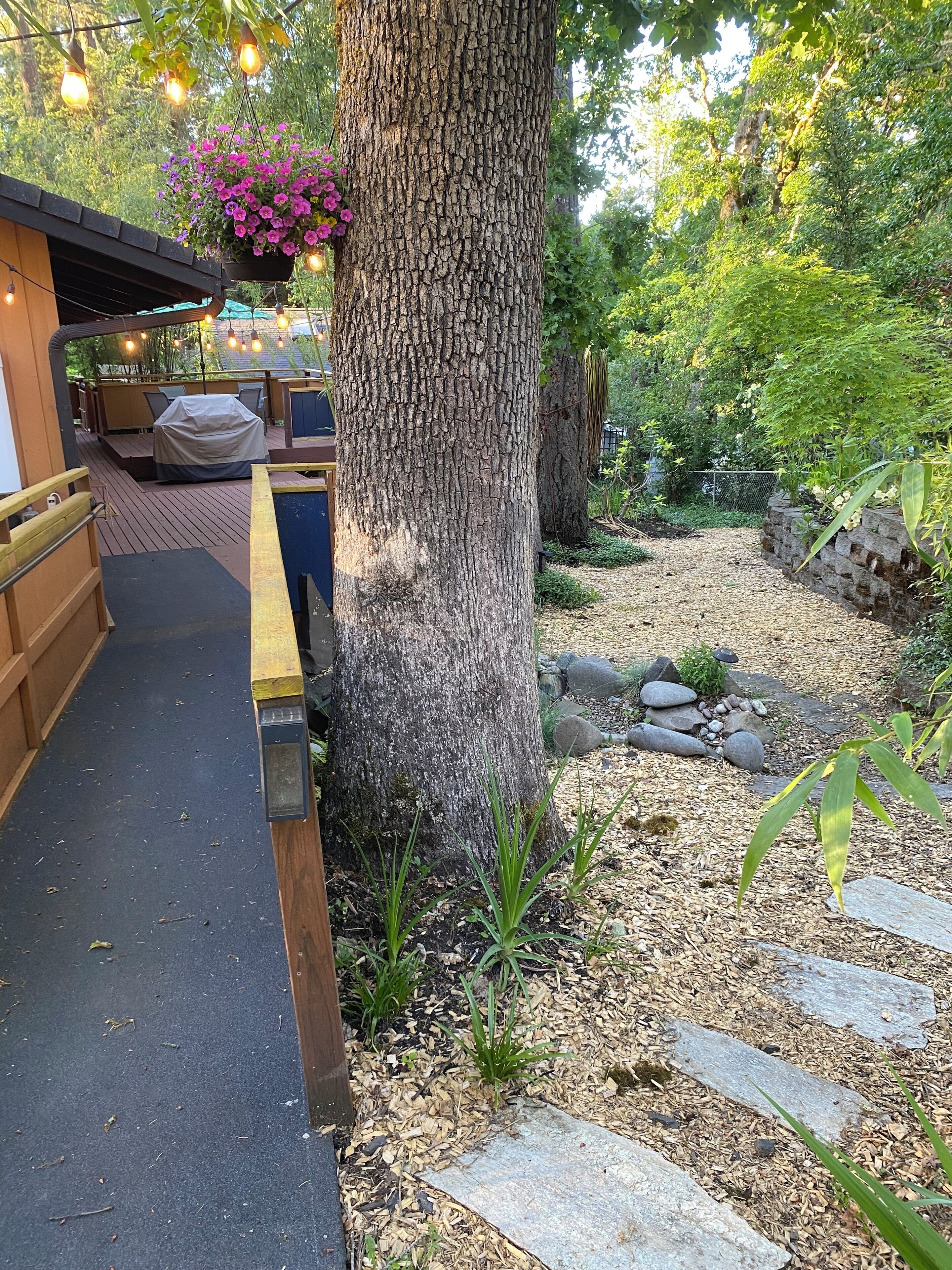 Enceinte de l’hébergement