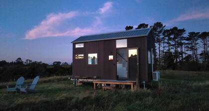 Taranaki Creekside TUI by Tiny Away