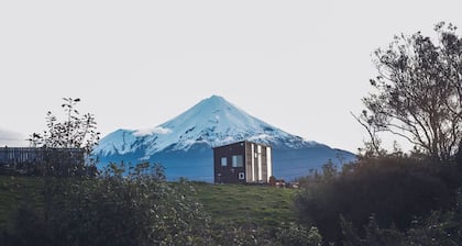 Taranaki Creekside TUI by Tiny Away