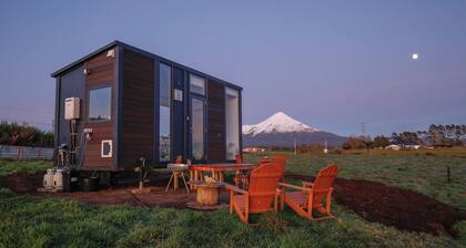 Taranaki Creekside TUI by Tiny Away
