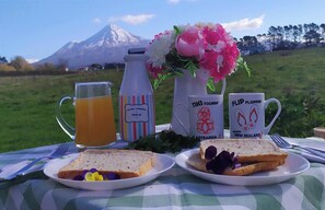 A picnic setup with a pitcher of orange juice, a milk bottle, two mugs with New Zealand-themed designs, and sandwiches on a checkered tablecloth with a mountain in the background. - Taranaki Creekside TUI by Tiny Away (Midhirst)