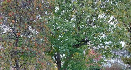 Cosy two bedroom bedroom apartment with free parking and free wifi