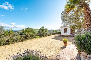 المنطقة المحيطة بالمنشأة