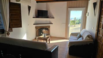 TV, fireplace, DVD player, ping pong