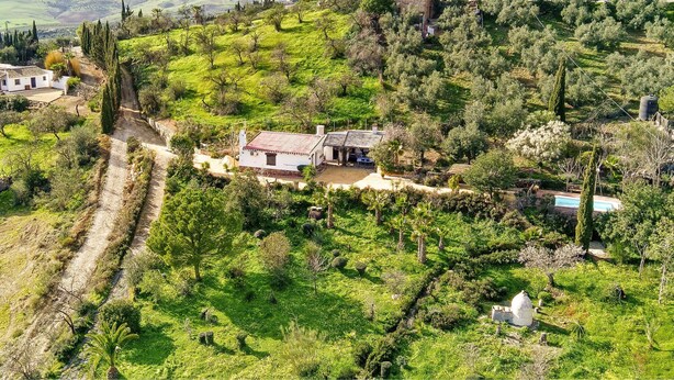A rural property with a house, olive trees, and a vineyard. - Holiday Home 'Casa Rural Villa Campito' with Mountain View, Private Pool and Wi-Fi (Antequera)