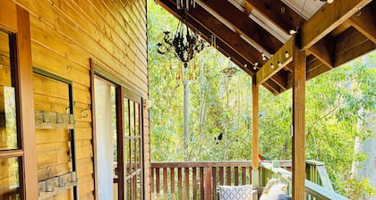 Cosy Cabin in Ancient Rainforest Barrington Tops