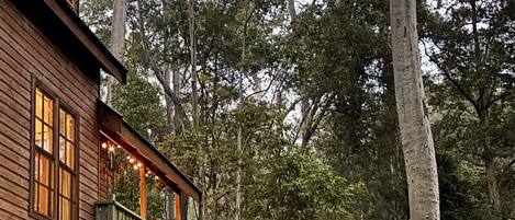 A wooden cabin with a staircase leading to a balcony, surrounded by dense forest.