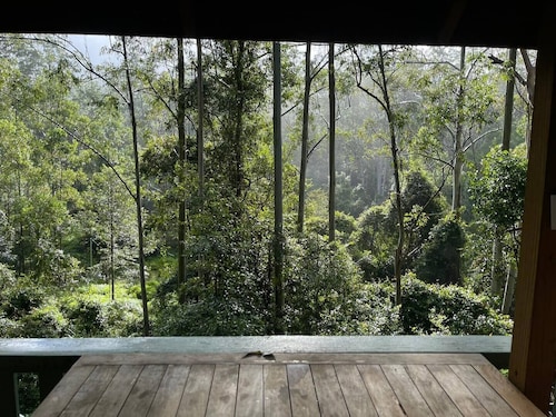 Cosy Cabin in Ancient Rainforest Barrington Tops