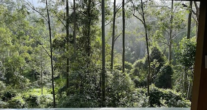 Cosy Cabin in Ancient Rainforest Barrington Tops