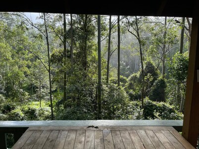Cosy Cabin in Ancient Rainforest Barrington Tops