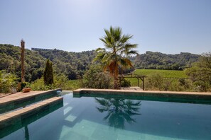 Ein Pool mit freiem Blick, eine Palme und eine Pergola, umgeben von üppiger Vegetation und einer hügeligen Landschaft.
