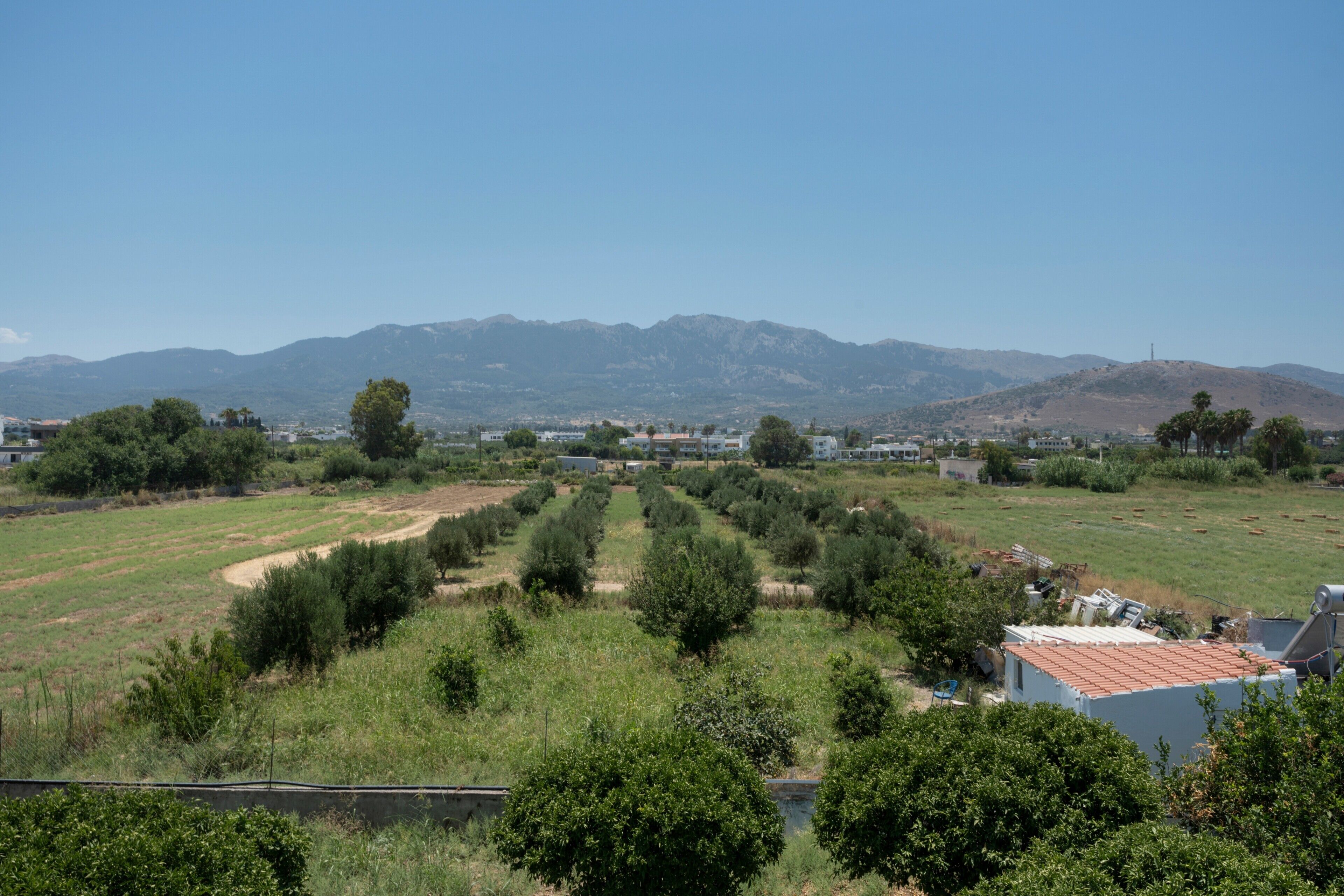 Un paysage rural avec un champ, des arbres et des montagnes à l’horizon.