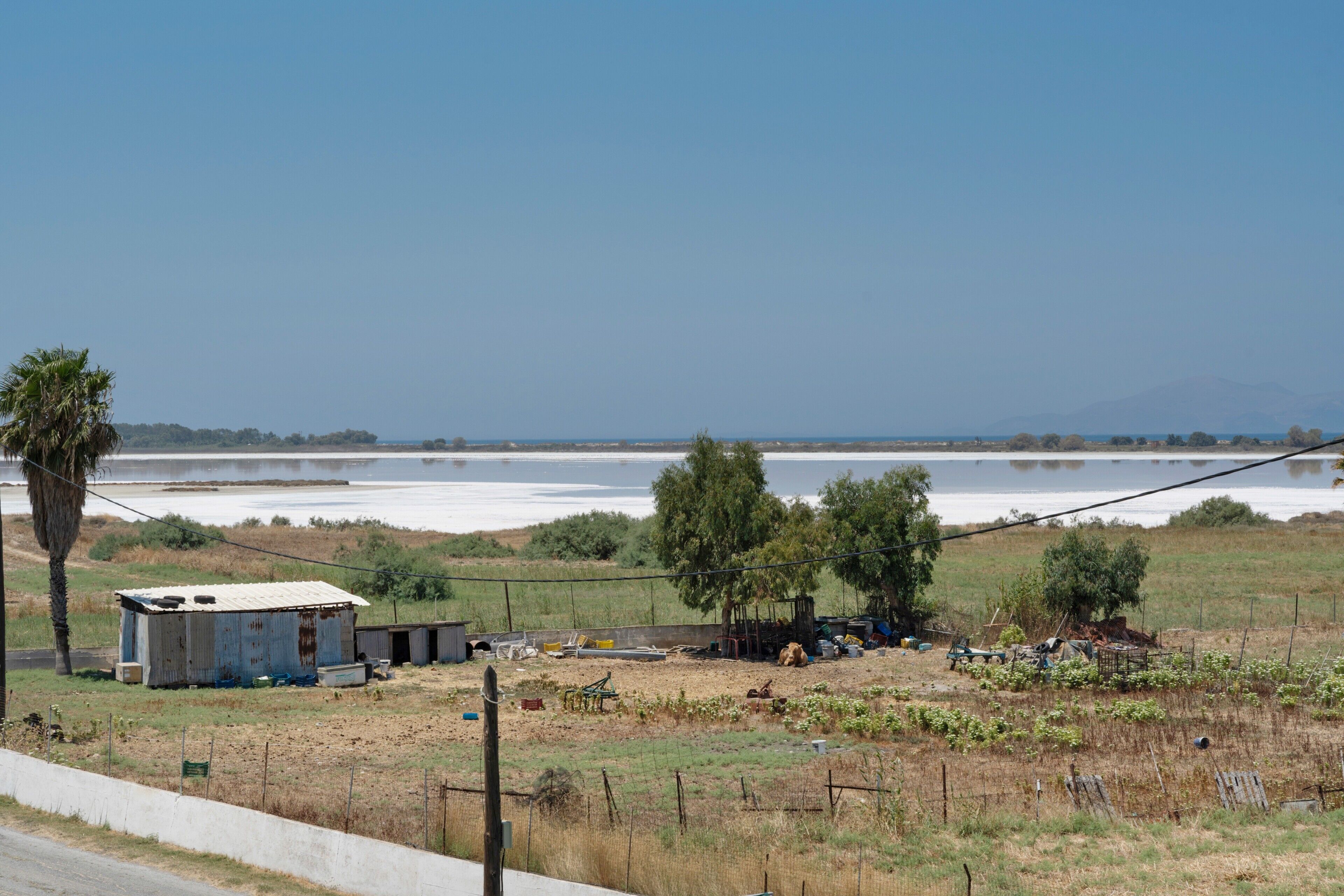 A rural landscape with a small, dilapidated building, a fenced area with sparse vegetation, and a clear view of a large body of water in the distance.