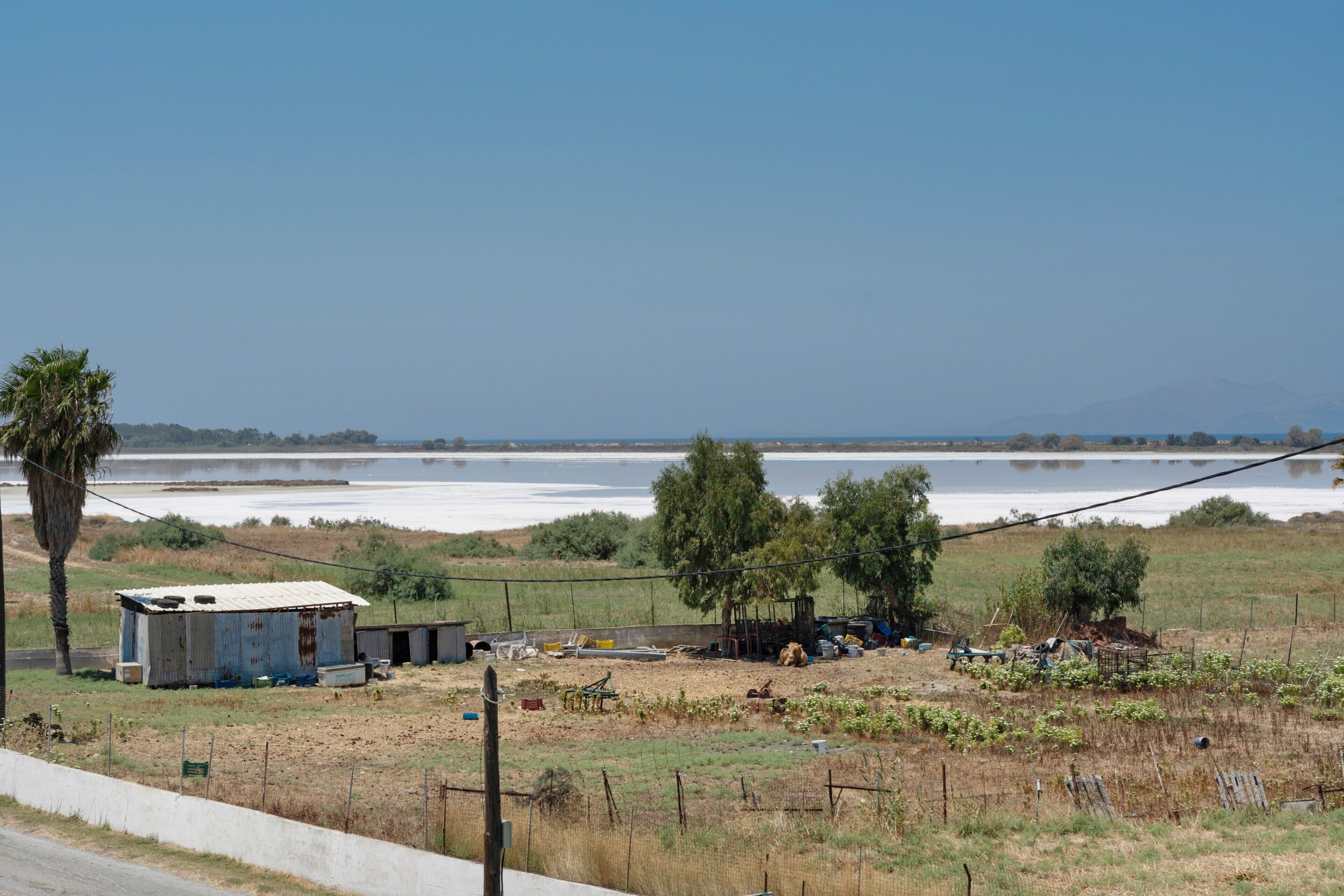 Un paysage rural avec un petit bâtiment délabré, un palmier et une étendue d’eau visible au loin.