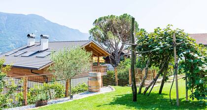 Apartment 'Pinot Grigio' with Mountain View, Private Terrace and Wi-Fi