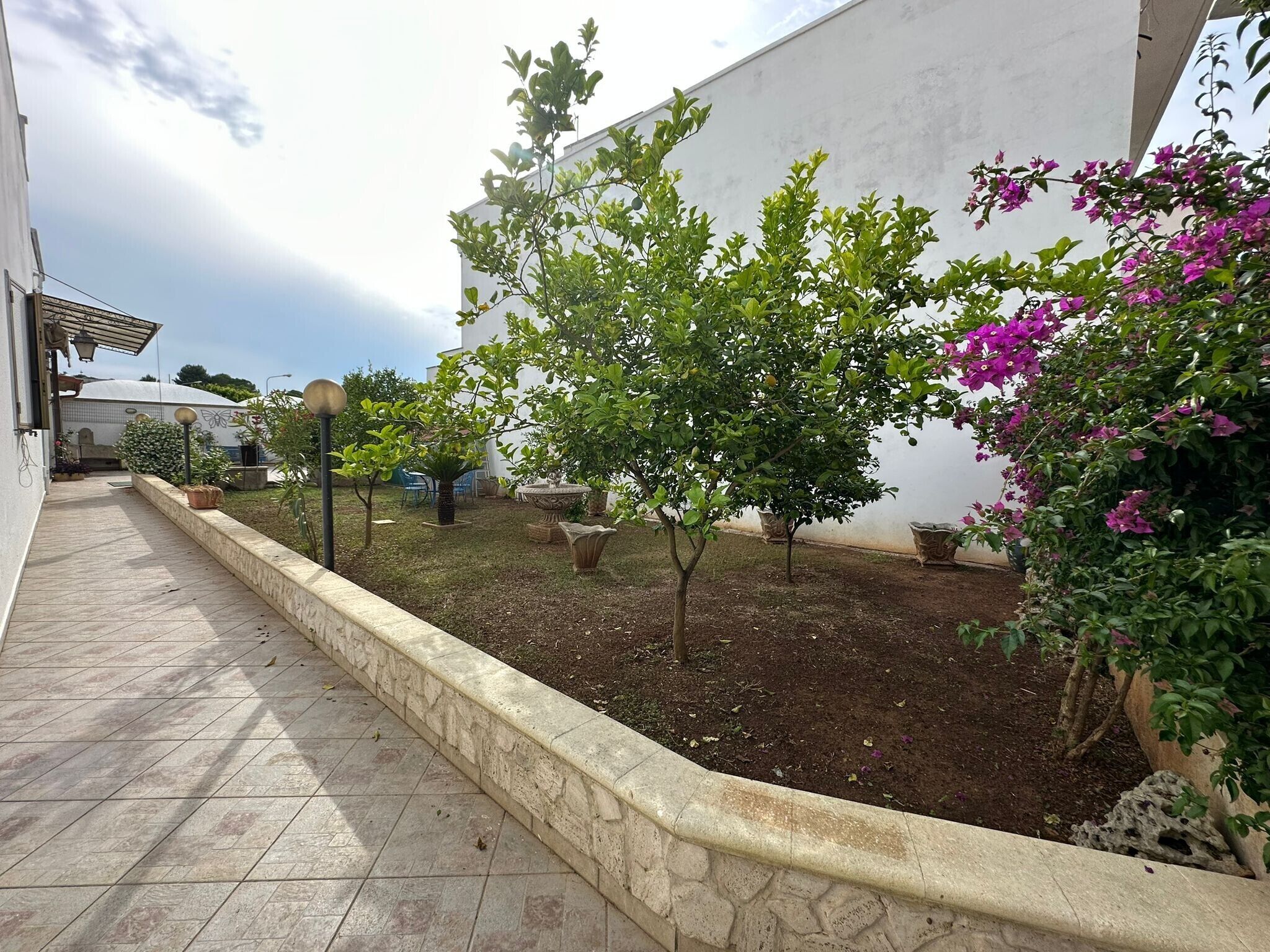 A paved pathway leading to a garden area with a white wall, potted plants, and a small tree.