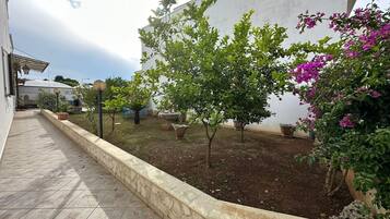A paved pathway leading to a garden area with a white wall, potted plants, and a small tree.